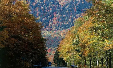 Ngỡ ngàng trước cảnh tượng mùa cây thay lá đẹp nhất cả năm ở xứ New England